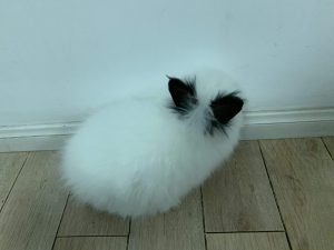 你！给我面壁思过去！-eMarch