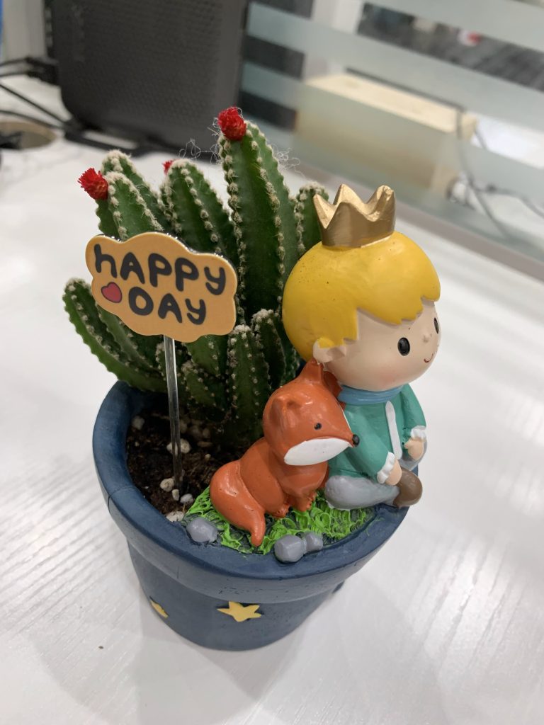 图片[1]-一岁一礼   一寸欢喜-eMarch