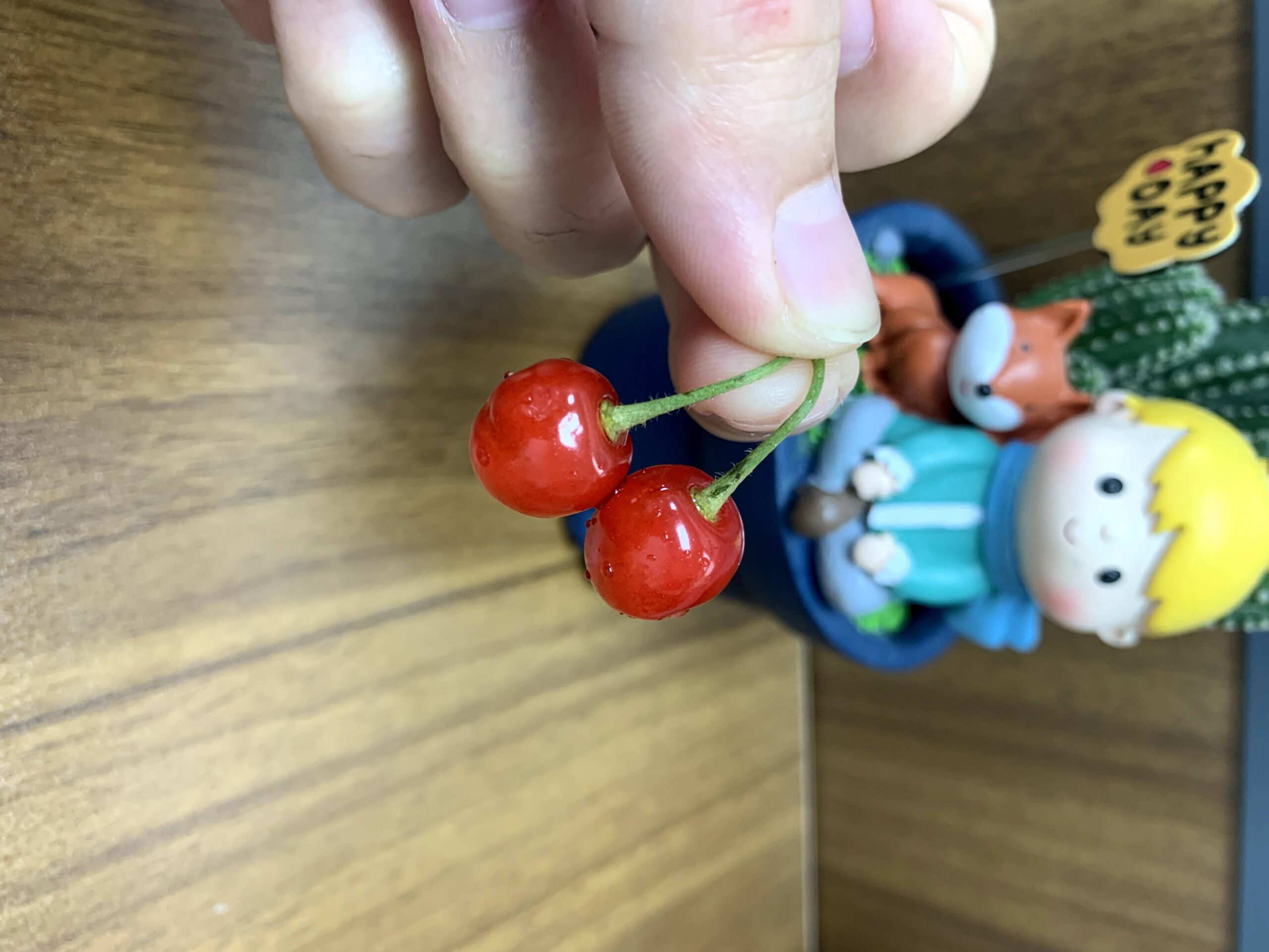 又是一年樱桃季