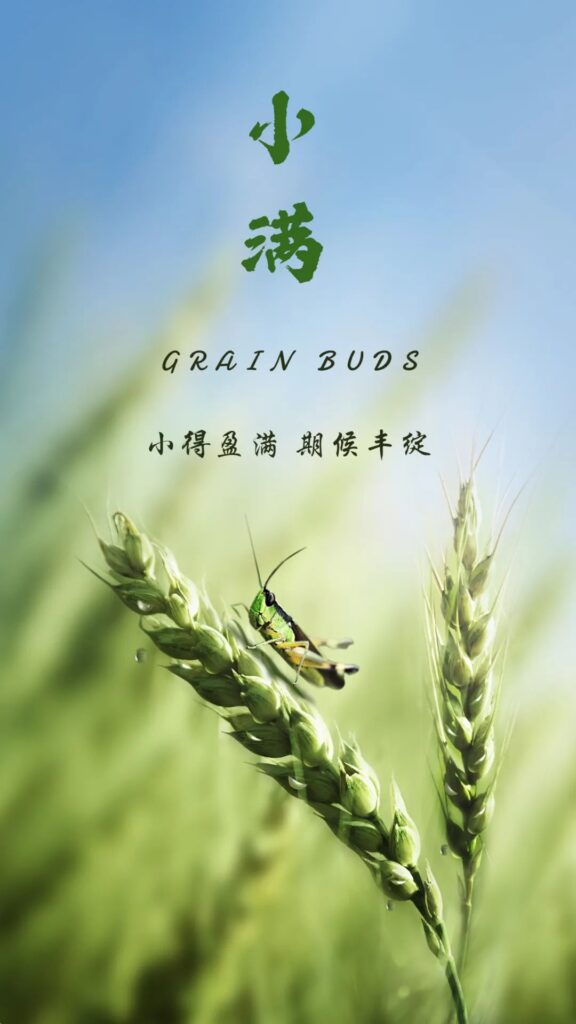 图片[1]-物至于此,小得盈满-eMarch